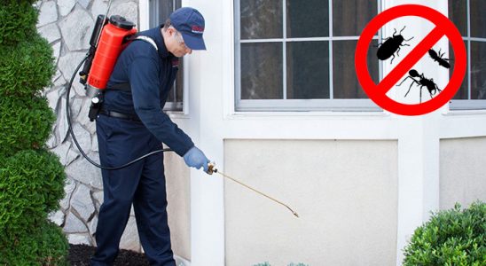 Adapazarı Kemirgen İlaçlama böcek ilaçlama ve haşere kontrolü — ilaclama-tr.com